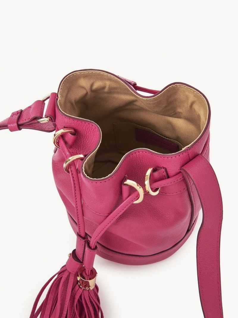 Sacs À Bandoulière Chloe Vicki Small Bucket Rose | CHE-SR14610