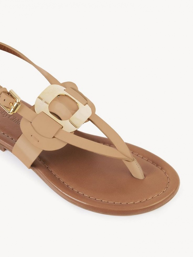 Sandale Chloe Chany Marron | CHE-SR14824