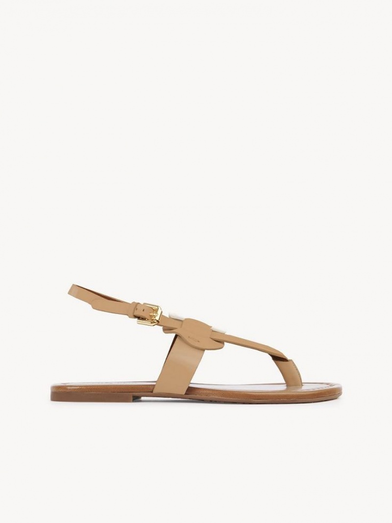 Sandale Chloe Chany Marron | CHE-SR14824