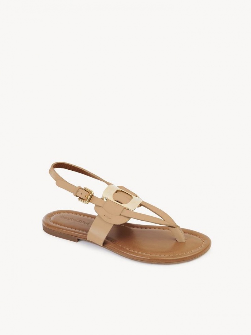 Sandale Chloe Chany Marron | CHE-SR14824