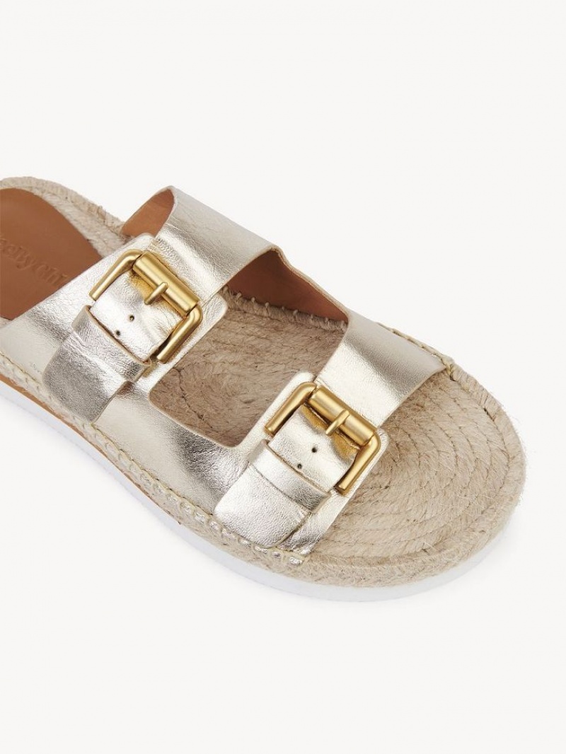 Sandale Chloe Glyn Plateforme Espadrillas Argent | CHE-SR14802