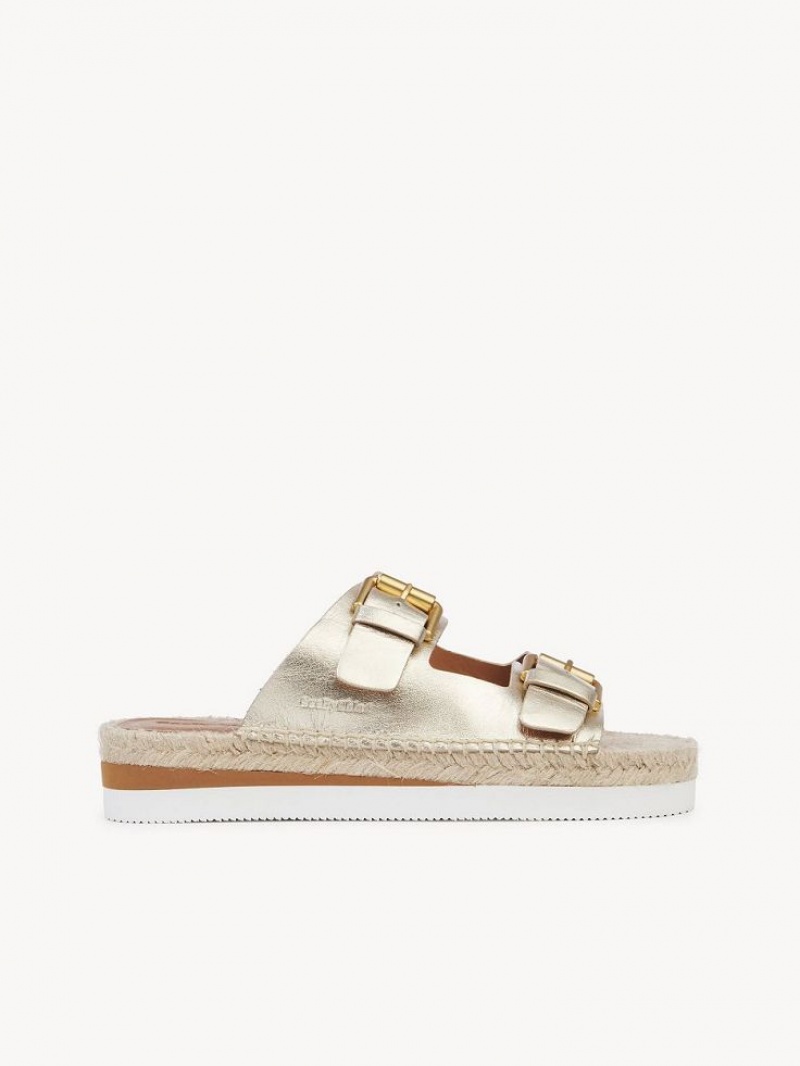 Sandale Chloe Glyn Plateforme Espadrillas Argent | CHE-SR14802